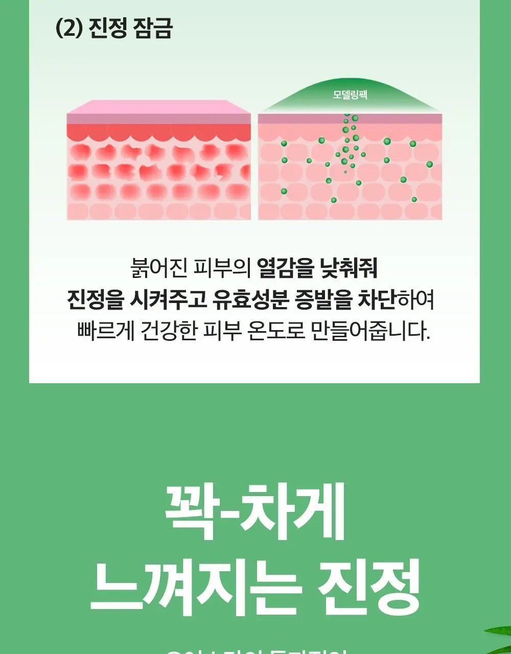 [급속쿨링진정 / 모공쪼임] 오어스 쿨 시카 티트리 모델링 팩 풀패키지 상세페이지 21